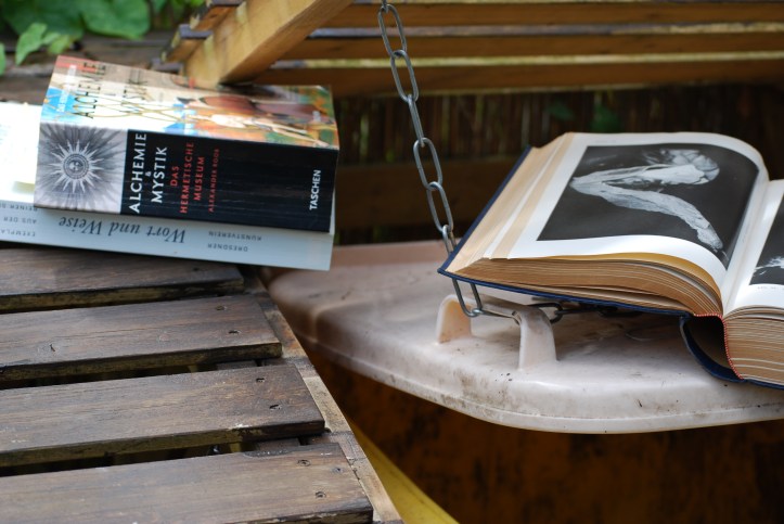 gelbe-tonnen-mystik-006