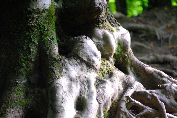 Drei Mumien im Baum oder so ähnlich