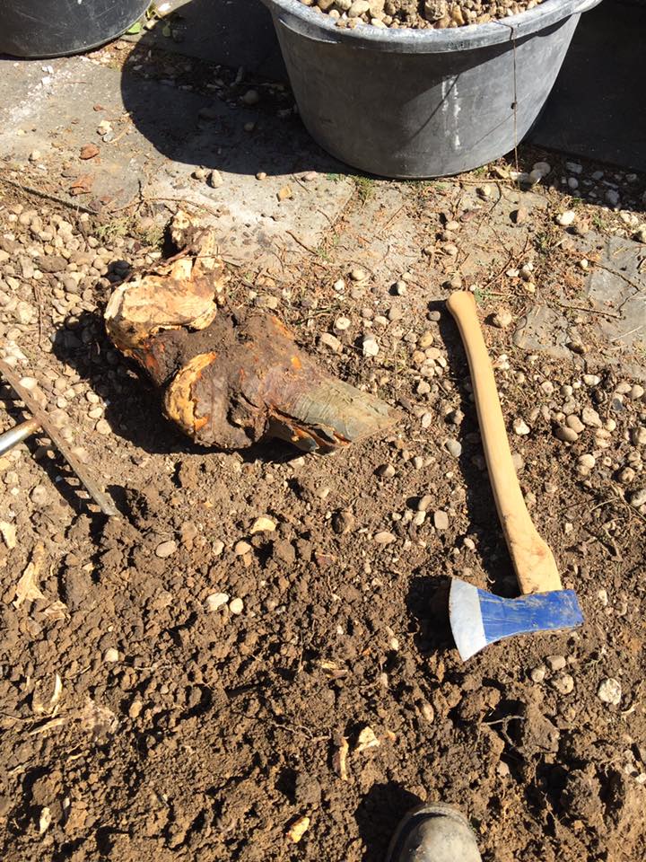 Solche E-Mail sind nerviger als Wurzeln wegzuhauen 