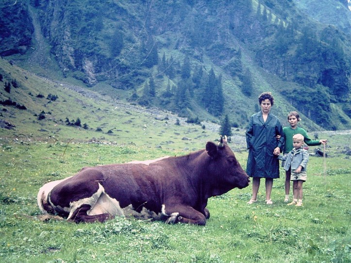 My beautiful picture