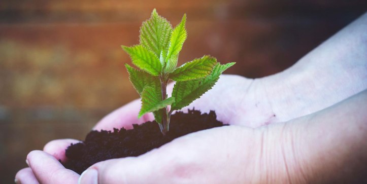 Uni im Rathaus über nachhaltige Startups: Sustainable Entrepreneurship. Bild-AVAKA_Pixabay